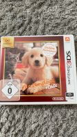 Nintendo spiel 2DS/ 3DS/ 3DS  XL Schleswig-Holstein - Schleswig Vorschau