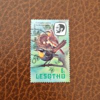 Kaprötel Vogel Ornithologie Briefmarke Lesotho #2680 Niedersachsen - Aurich Vorschau