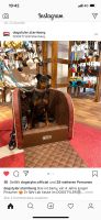 Hundebox Dogstyler Earl Bayern - Emmering Vorschau