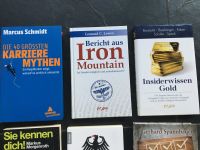Bericht Iron Mountain, Insiderwissen Gold, Karriere Mythen Buch Baden-Württemberg - Berghülen Vorschau