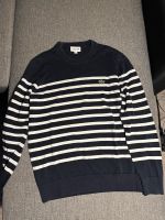 Lacoste Sweatshirt m Nordrhein-Westfalen - Bad Salzuflen Vorschau