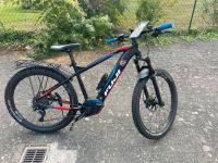 E - Mountenbike Fuji ambient evo 1.3 Rheinland-Pfalz - Bruchmühlbach-Miesau Vorschau