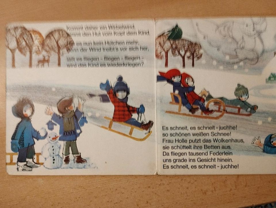 Alles fliegt, Hanna Schachenmeier Liane Müller aus 1960 Kinderbuc in Weißenburg in Bayern