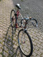 Fahrrad/Rennrad Sachsen-Anhalt - Aschersleben Vorschau