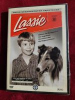 Lassie DVD NEU/ eingeschweisst inkl. Versand Nordrhein-Westfalen - Emmerich am Rhein Vorschau