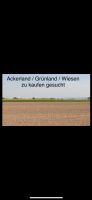 Ackerland / Grünland / Wiese / Dauergrünland Acker Feld gesucht Bayern - Westheim Vorschau