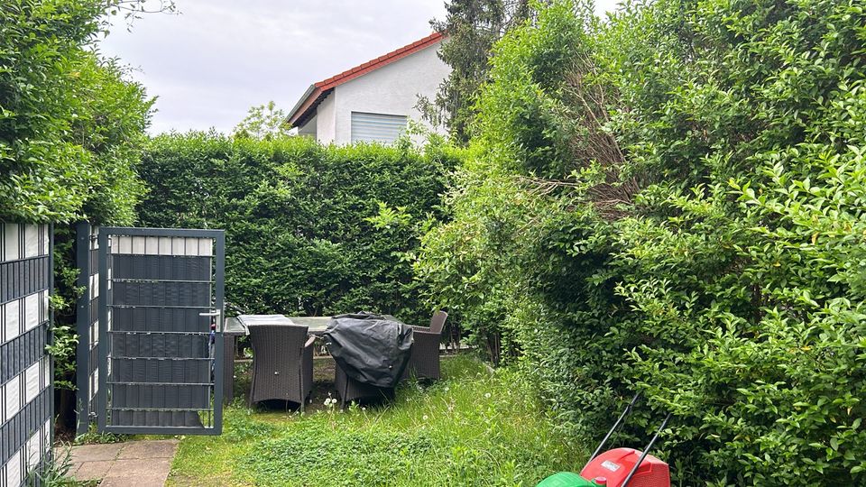 Heckenschnitt, Garten-Grundstückspflege, Vermietung uvm in Pfungstadt