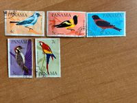 5 Briefmarken aus Panama Vögel DDR Kellerfund Sachsen - Großolbersdorf Vorschau