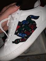 Gucci Ace Sneaker editional Köln - Mülheim Vorschau