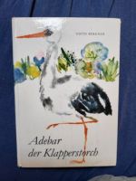 Edith Bergner Adebar der Klapperstorch DDR Kinderbuch Baden-Württemberg - Schorndorf Vorschau