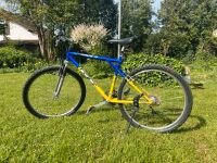 Mountainbike blau/gelb Bayern - Plattling Vorschau