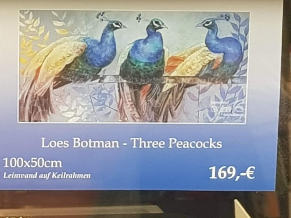 Leinwand - Pfauenbild - Three Peacocks von Loes Botman 100x50cm in Berlin