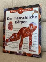 Der menschliche Körper Hessen - Schöffengrund Vorschau