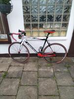 Fahrrad 28 Zoll Rennrad Essen - Essen-Borbeck Vorschau