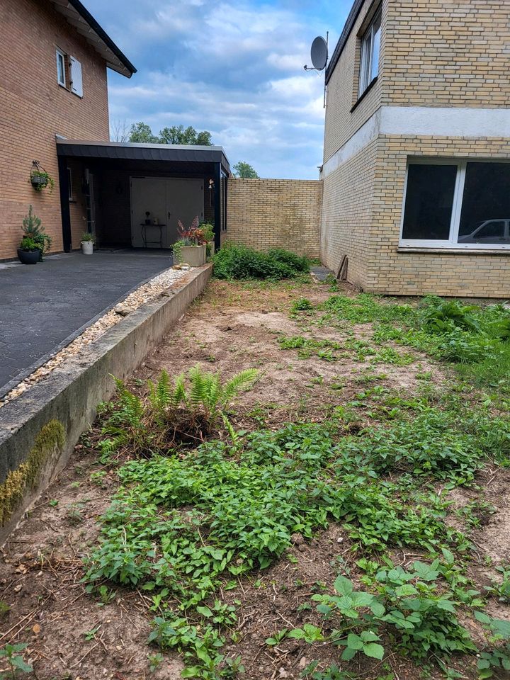 Garten Arbeit und Terrassenplatten kiramik in Düren