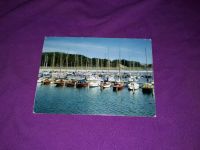 Eckernförde Yachthafen Hafen Segelboote Postkarte 1979 Kreis Pinneberg - Elmshorn Vorschau