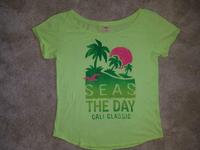 Damen HOLLISTER T-Shirt, Shirt, Gr. M, hellgrün Hessen - Idstein Vorschau