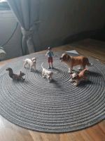 11 Schleichtiere + Figur Bremen - Vegesack Vorschau