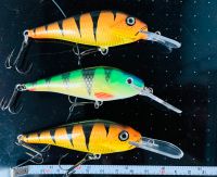 3 Hybrida Wobbler crankbait 8cm Neustadt - Alte Neustadt Vorschau