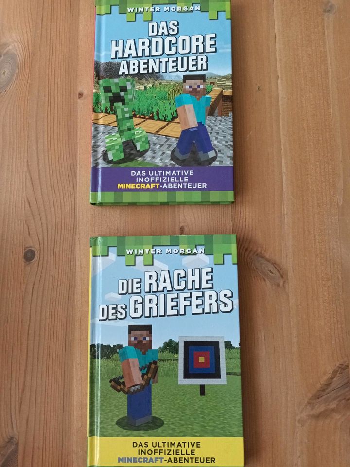 Minecraft Abenteuer Bücher in Dettelbach