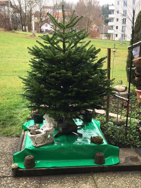 Fontäne, Garten Springbrunnen, komplette Einrichtung in Kempten