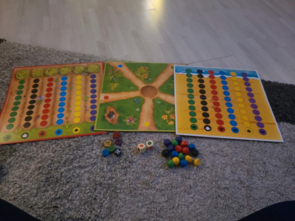 Kinder Brettspiele (Mensch ärgere dich nicht, etc.) in Berne