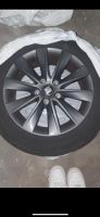 Seat Original Felgen 4x 205/55 R16 Nordrhein-Westfalen - Gronau (Westfalen) Vorschau