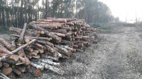 Holz Feuerholz Brennholz Kiefer Sachsen - Wittichenau Vorschau