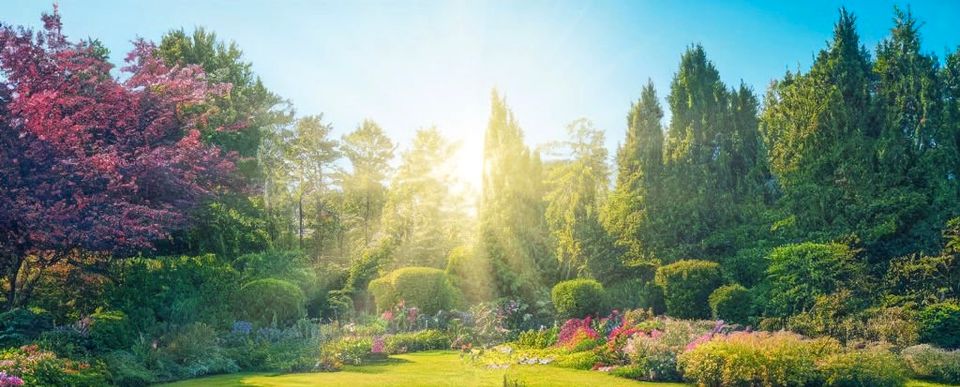 Gartenpflege / Gartenarbeit / Gartenhilfe in Völklingen