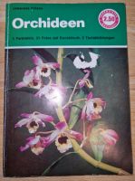 Johannes Fritzen Orchideen Nordrhein-Westfalen - Porta Westfalica Vorschau