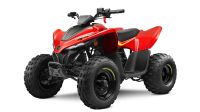 Verkaufen CFMOTO CForce 110 Kinderquad / ROT Rheinland-Pfalz - St Katharinen Vorschau