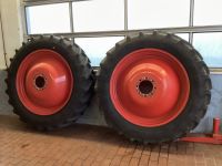 2x Pflegeräder 420/80R46 Ceat 151 D Spur 2250 mm Fendt 414 - 516 Bayern - Witzmannsberg Vorschau