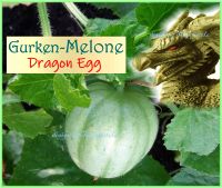 ♥ Dragon Egg Gurkenmelone,Samen,Alte Sorte,Gemüse,Tulpenstolz Eimsbüttel - Hamburg Schnelsen Vorschau