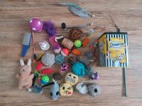 Katzen Spielzeug Mix gebraucht Bayern - Bad Wörishofen Vorschau