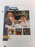 Beagle Buch Frankfurt am Main - Praunheim Vorschau