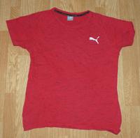 Puma tshirt rot gr.L TOP ZUSTAND Brandenburg - Schwedt (Oder) Vorschau