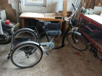 Elektrisches Dreirad 24 Zoll 7 Gänge Akku nicht aufladbar Hessen - Idstein Vorschau
