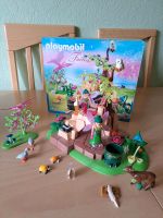 Playmobil Feen 5447 Feenwelt Fairies Zaubertrankfee Wald Rheinland-Pfalz - Dierdorf Vorschau