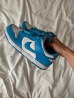 Nike dunk (sommerfarbe) Berlin - Pankow Vorschau