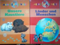 Lernbücher, Kinderbücher, Disney, Bücher, 2er Set Leipzig - Engelsdorf Vorschau
