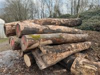 Brennholz Kaminholz Buche Stämme Nordrhein-Westfalen - Hemer Vorschau