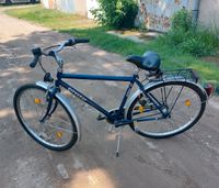 Fahrrad 28" von City Star ❗️Top❗️Fusion❗️ Müritz - Landkreis - Rechlin Vorschau