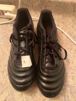 Adidas Copa 20.4 FG Fußballschuhe Neu mit Etikett 42 Bayern - Freising Vorschau