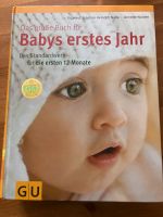 Nolte/Nolden « Das große Buch für Babys erstes Jahr » Kr. München - Ebenhausen Vorschau