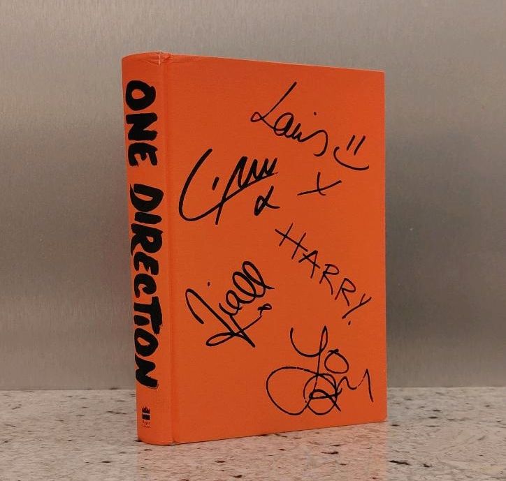 One Direction: Who We Are - Autobiografie in Stein