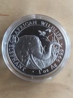 1 Oz  6 Stück Silbermünze Somalia Elefant 2018 Privy Hund Kapsel Bayern - Fürth Vorschau