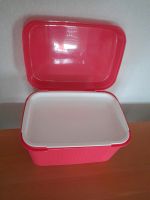 Tupperware, große Box, mit Einlegeboden Niedersachsen - Börger Vorschau