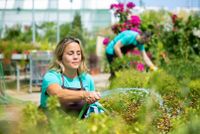 Mitarbeiter (m/w/d) für den Gartenbau Tollense Garten Mecklenburg-Vorpommern - Neubrandenburg Vorschau