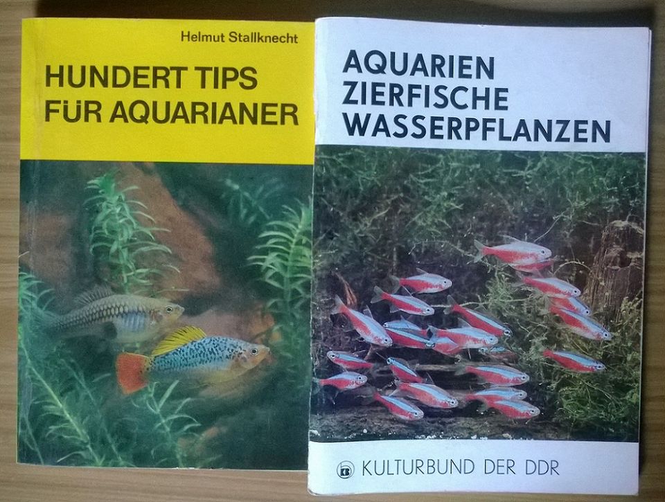 Terrarium 1,45 m, 5 Mooreichenstücke, 4 Aquarium-Bücher in Zahna-Elster