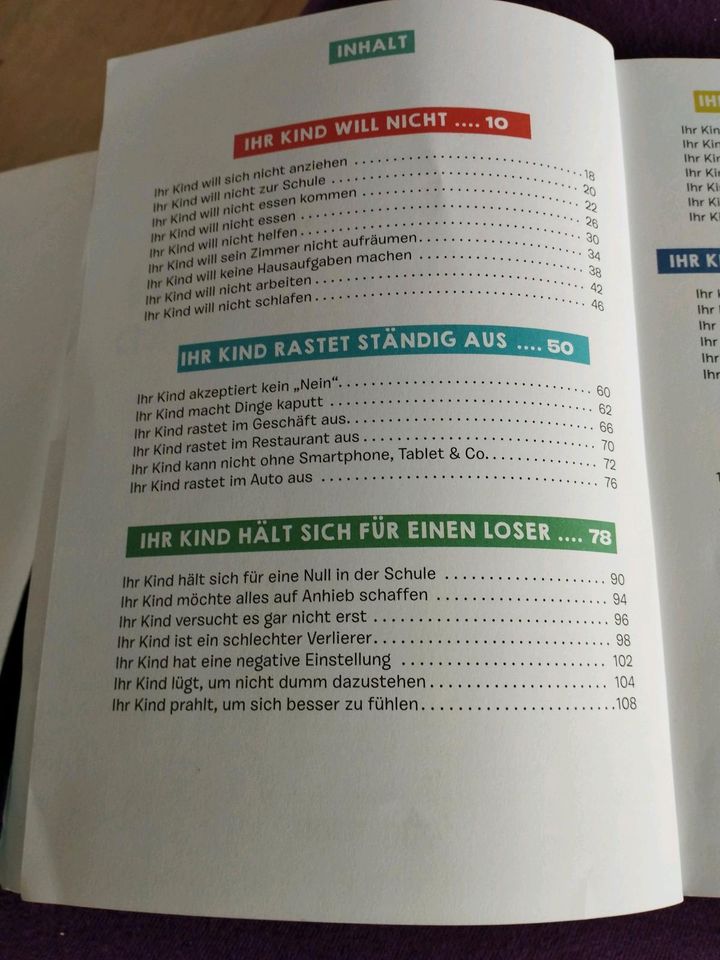 Erziehung Ratgeber illustriertes Buch Kleindienst Sonnenschein in Lohr (Main)